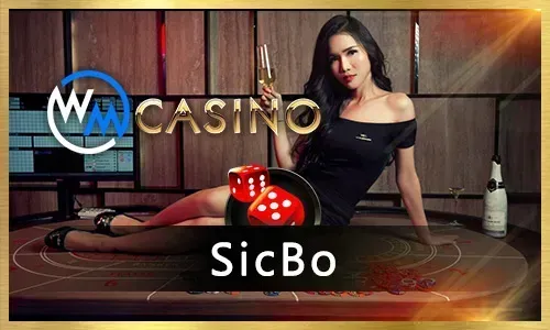 Adventure themed slot game at 1win Boombl4